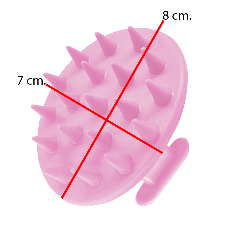 rosa 5.png