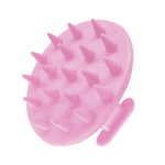 rosa 4.png